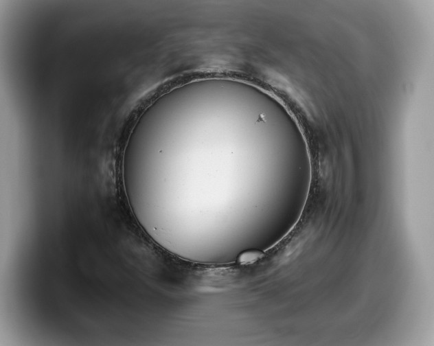 X0000099971304200805301326