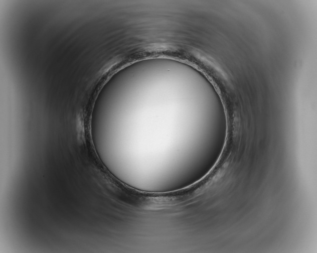 X0000099971305200805301326