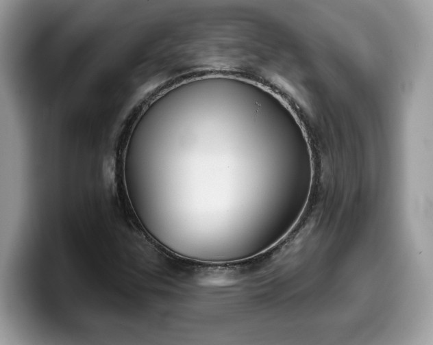 X0000099971307200805301326