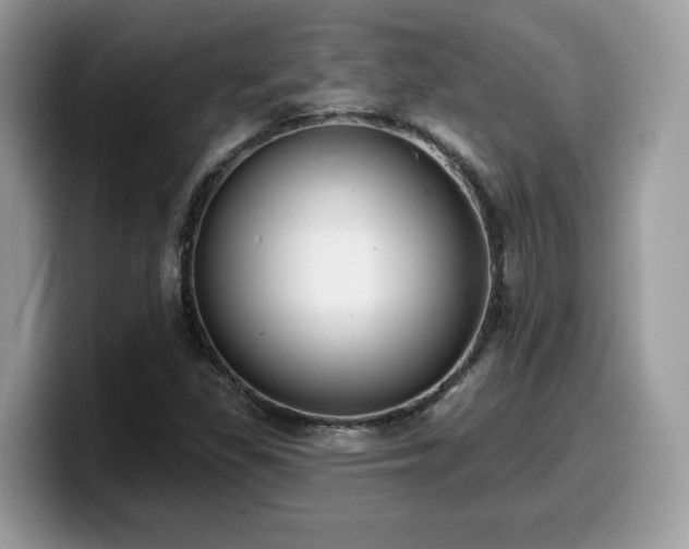 X0000099971309200805301326