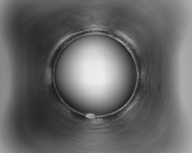 X0000099971310200805301326