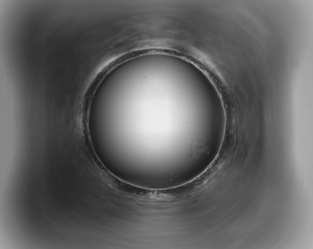 X0000099971312200805301326