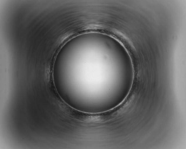 X0000099971313200805301326