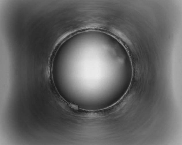 X0000099971316200805301326