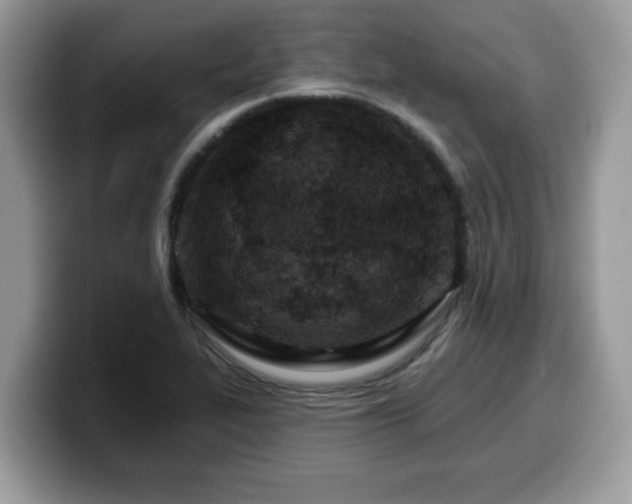 X0000099971319200805301326