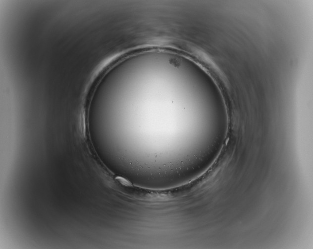 X0000099971320200805301326