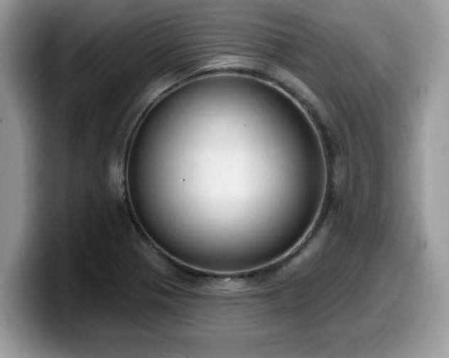 X0000099971321200805301326