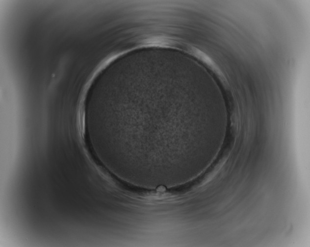 X0000099971323200805301326