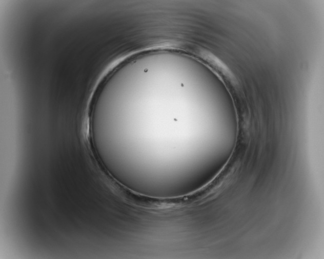 X0000099971324200805301326