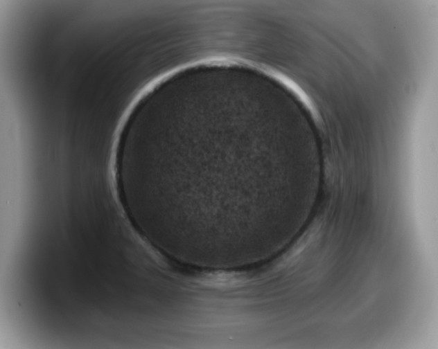 X0000099971327200805301326