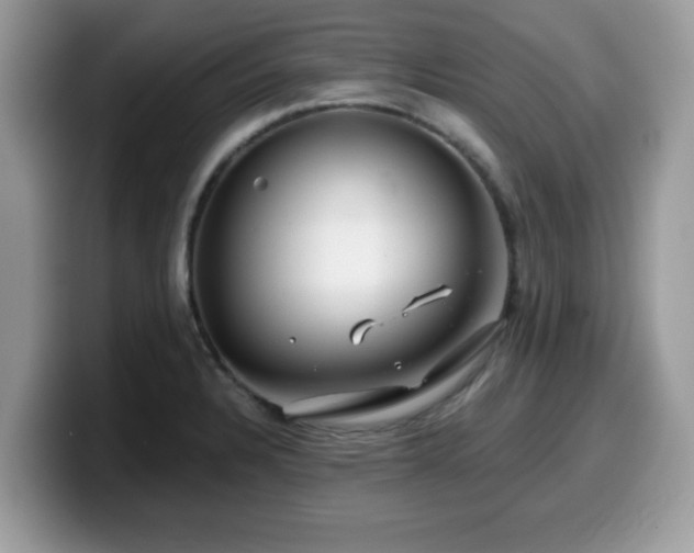 X0000099971328200805301326