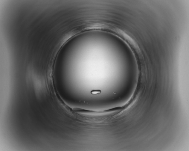 X0000099971329200805301326