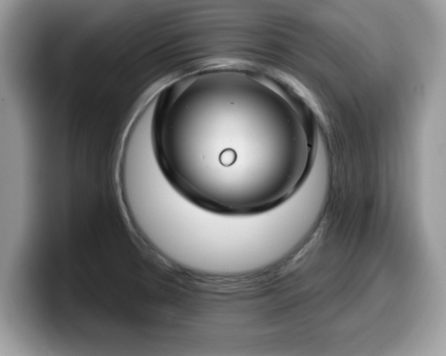 X0000099971330200805301326