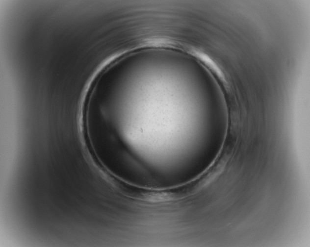 X0000099971331200805301326