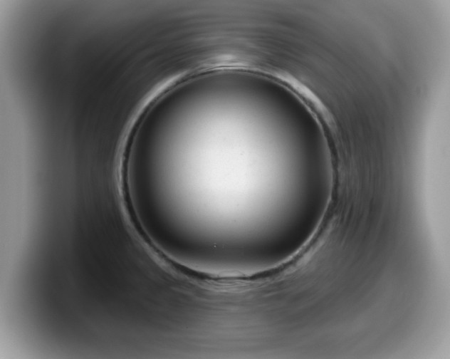 X0000099971333200805301326