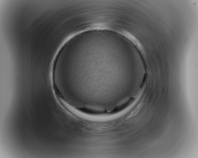 X0000099971334200805301326