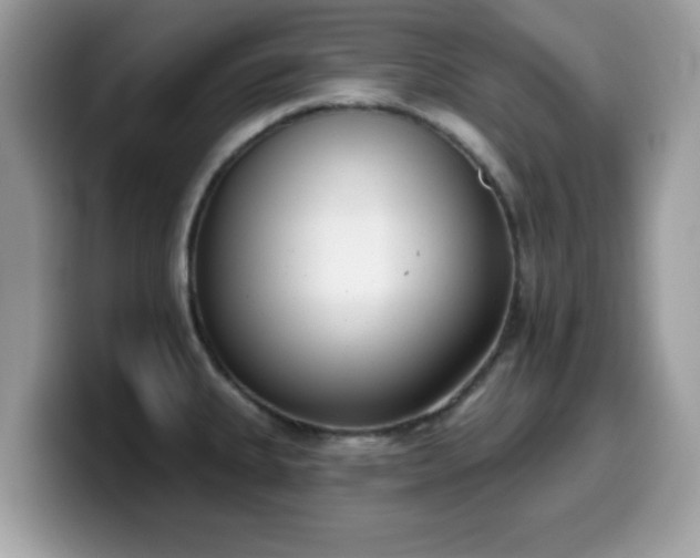 X0000099971335200805301326