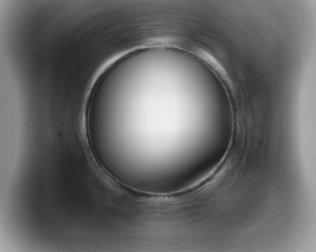 X0000099971336200805301326