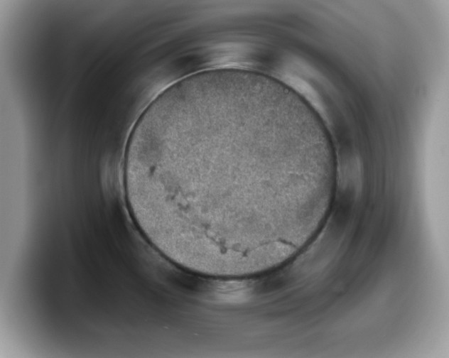 X0000099971338200805301326