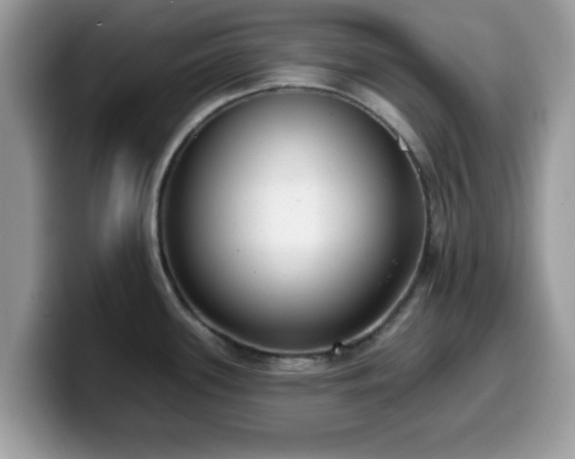 X0000099971339200805301326