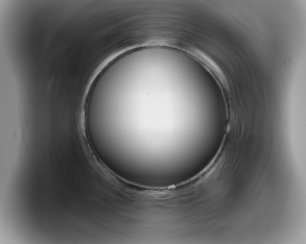 X0000099971340200805301326