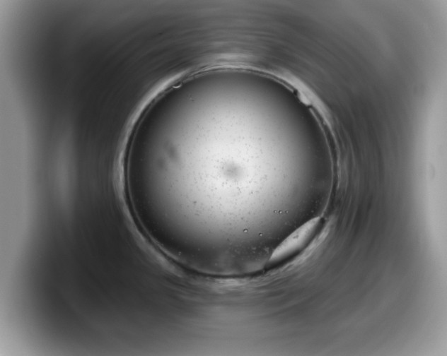 X0000099971341200805301326