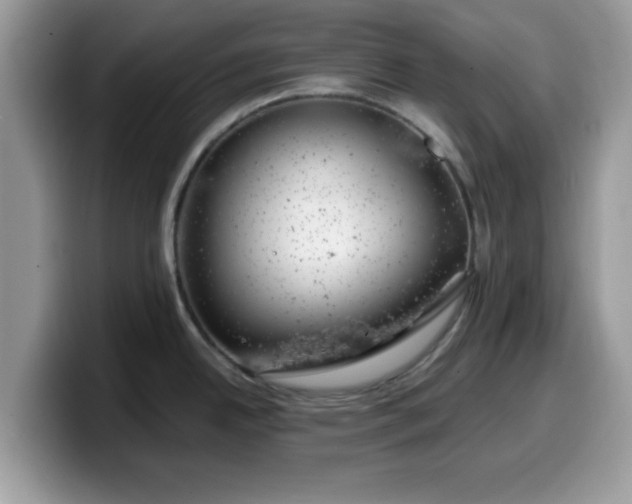 X0000099971342200805301326