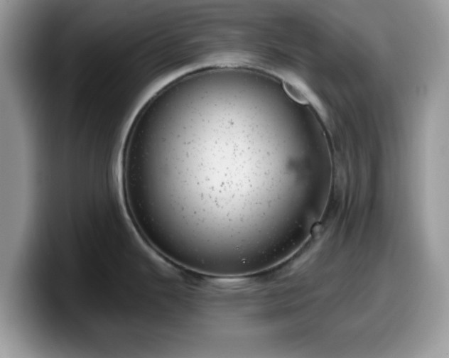 X0000099971343200805301326