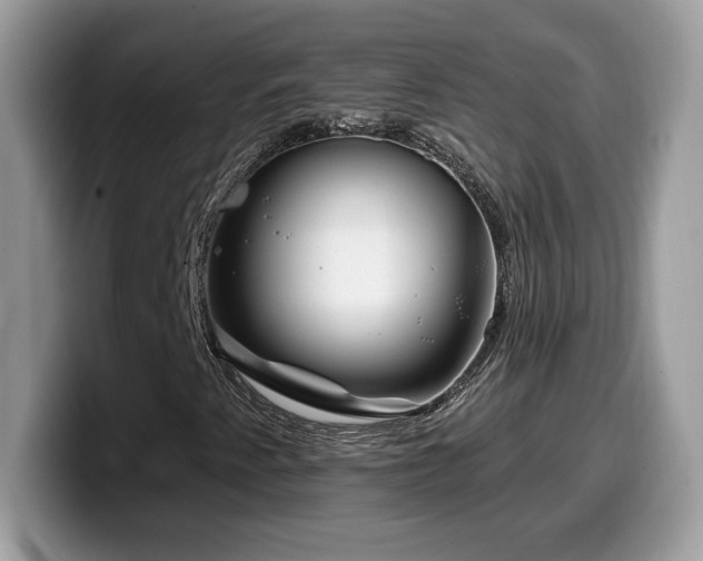 X0000099971345200805301326