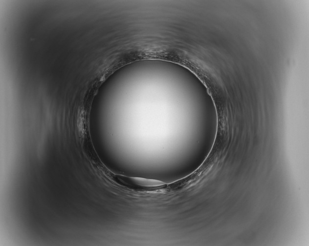 X0000099971346200805301326