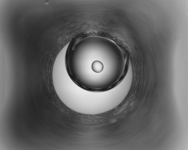 X0000099971348200805301325