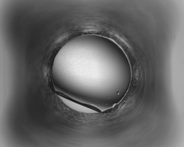 X0000099971351200805301325