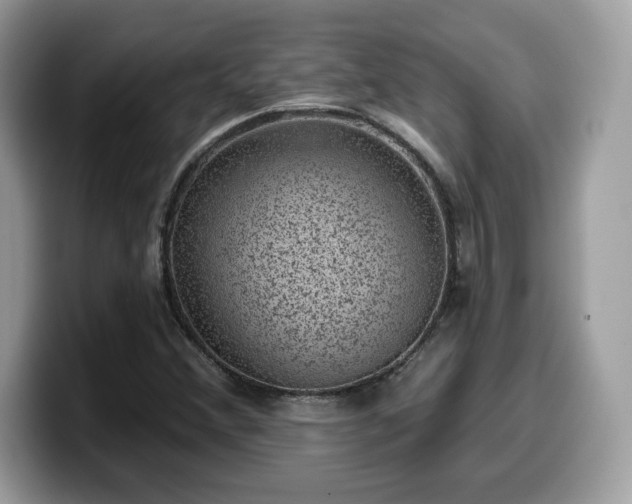 X0000099971356200805301325