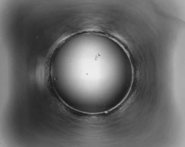 X0000099971359200805301325