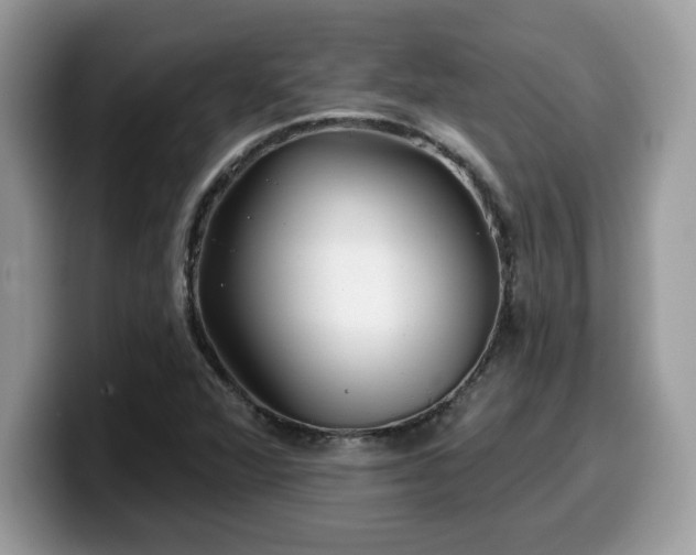 X0000099971360200805301325