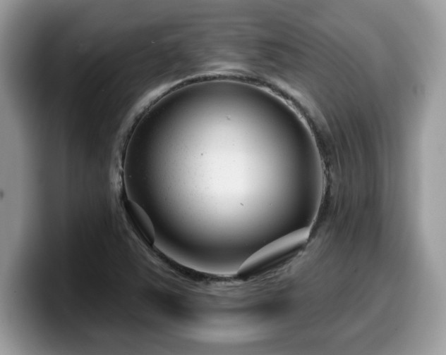 X0000099971363200805301325