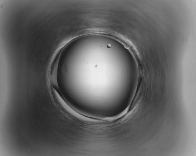 X0000099971365200805301325