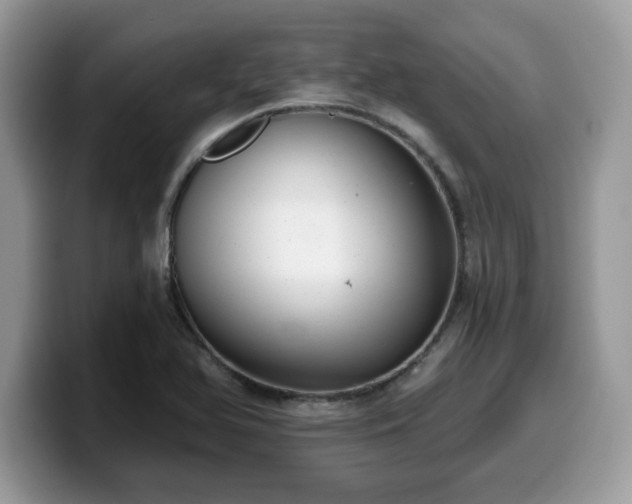 X0000099971366200805301325