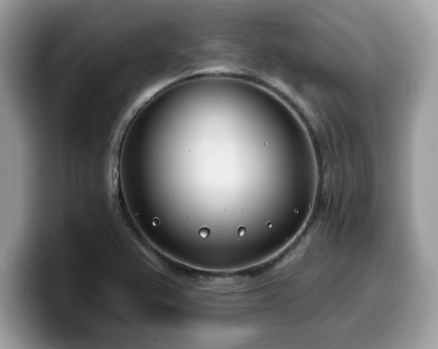 X0000099971367200805301325