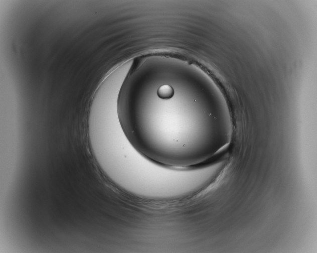 X0000099971369200805301325