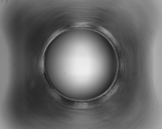 X0000099971370200805301325