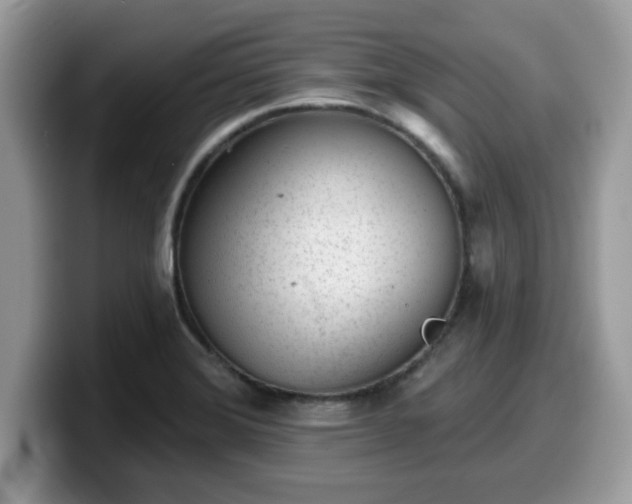 X0000099971372200805301325