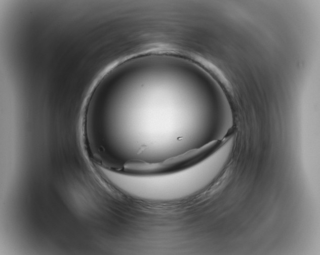 X0000099971375200805301325