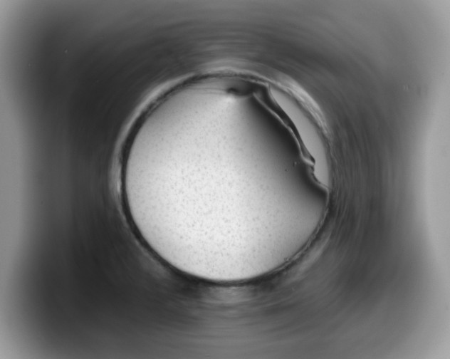 X0000099971376200805301325