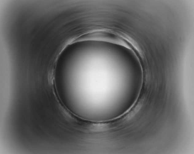 X0000099971377200805301325