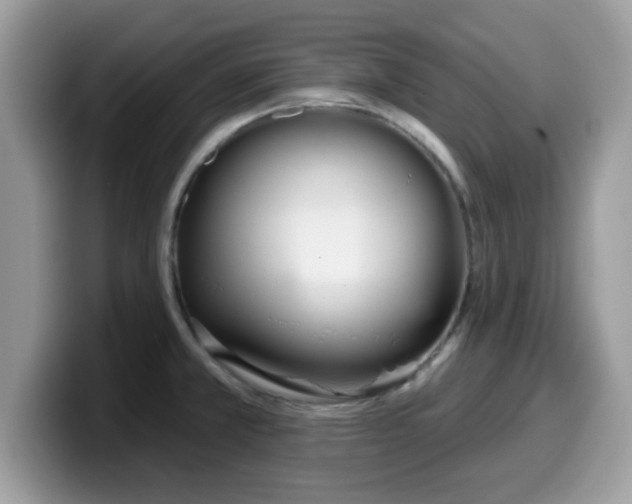 X0000099971381200805301325