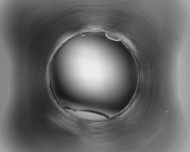 X0000099971382200805301325