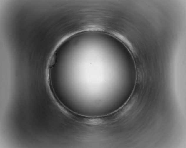 X0000099971383200805301325