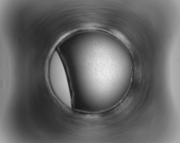 X0000099971384200805301325