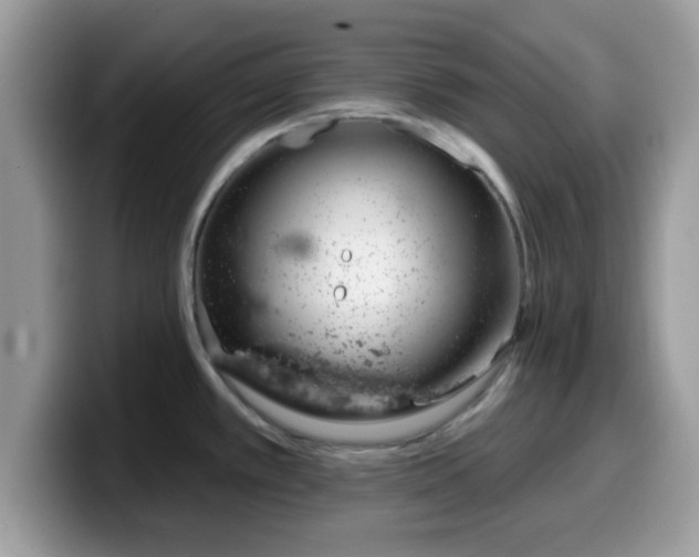 X0000099971389200805301325